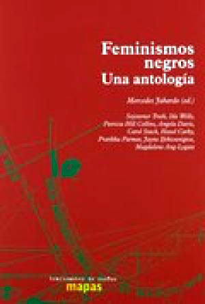 Feminismos Negros: Una Antología